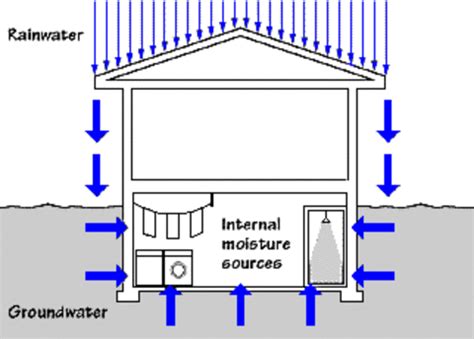 moisture meter for basements|moisture meter for basement problems.